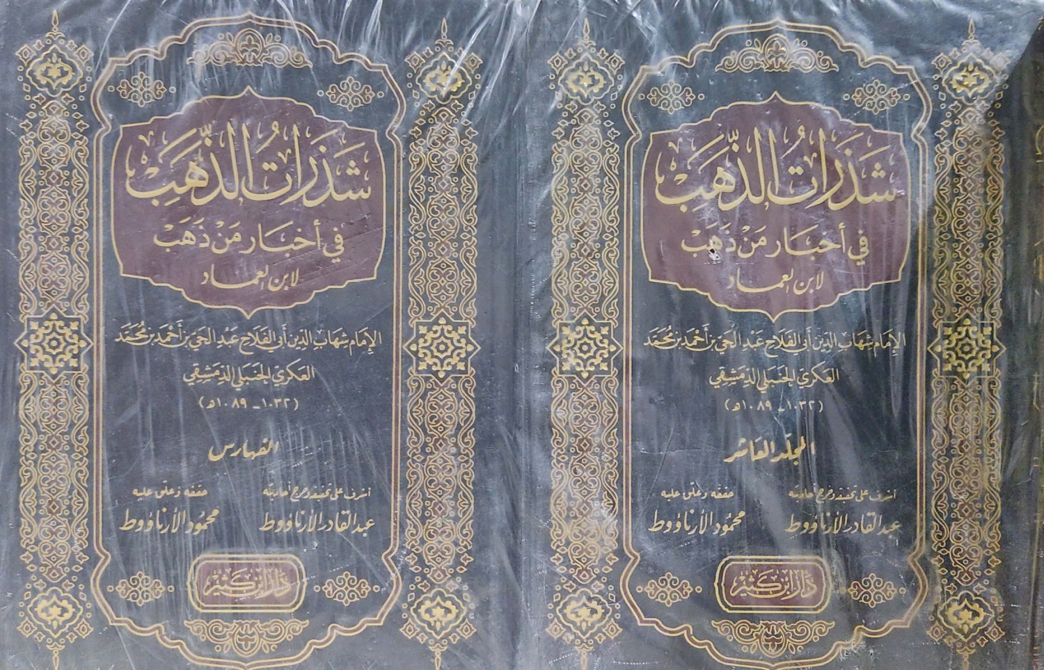 شذرات الذهب في أخبار من ذهب 10/1