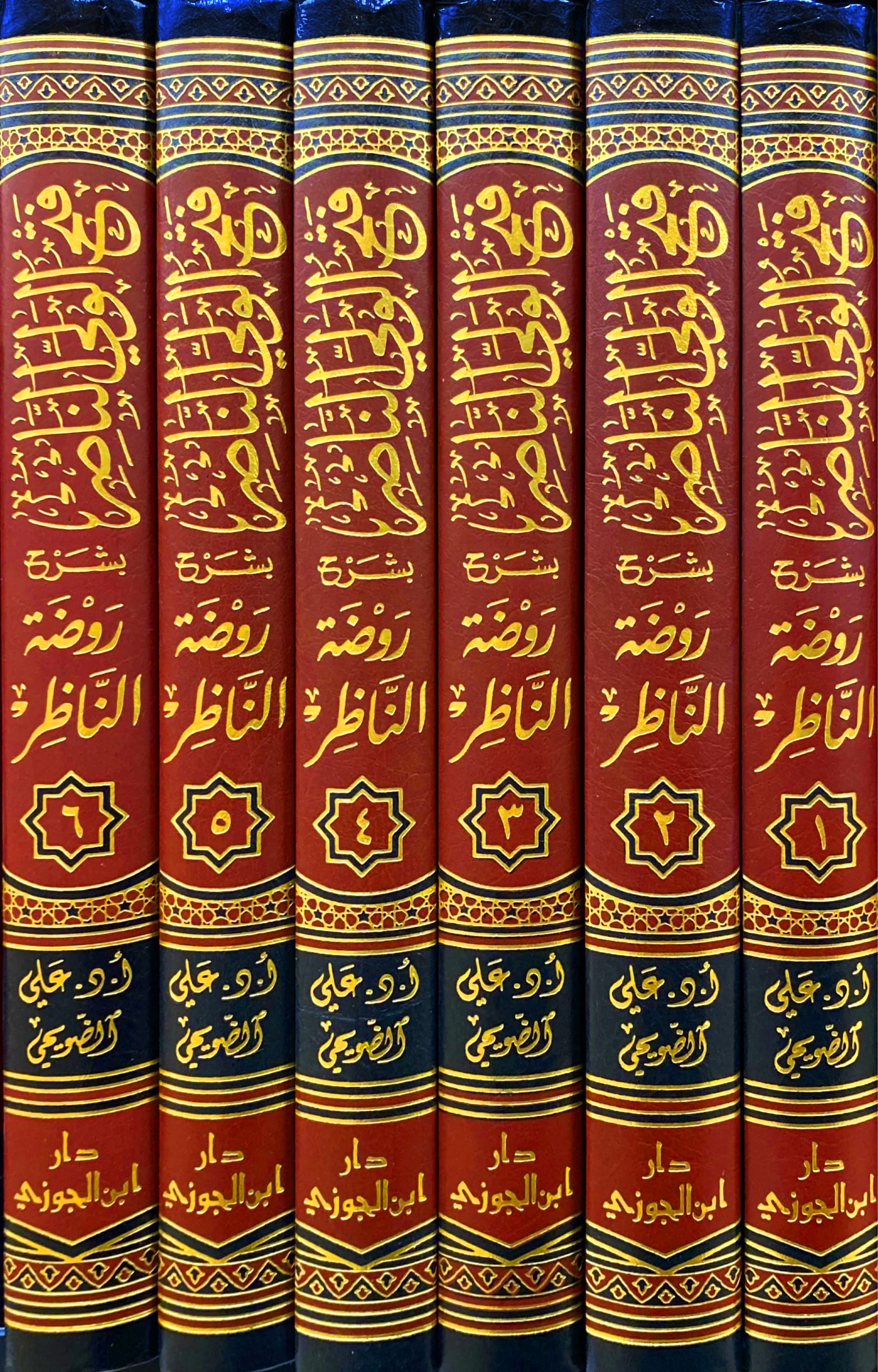 فتح الولي الناصر شرح روضة الناظر 6/1